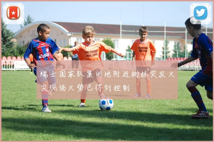 瑞士国家队集训地附近树林突发火灾现场火势已得到控制