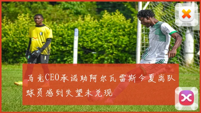 马竞CEO承诺助阿尔瓦雷斯今夏离队球员感到失望未兑现
