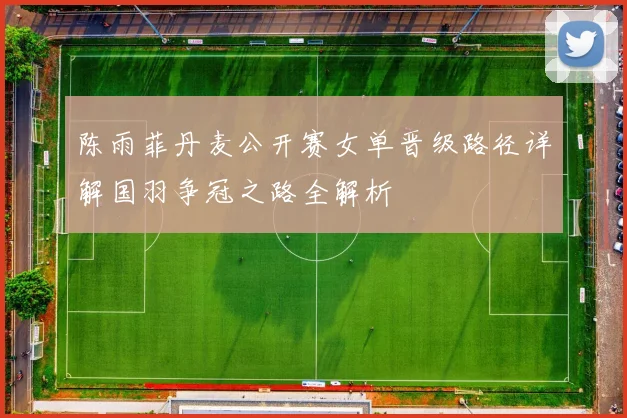 陈雨菲丹麦公开赛女单晋级路径详解国羽争冠之路全解析